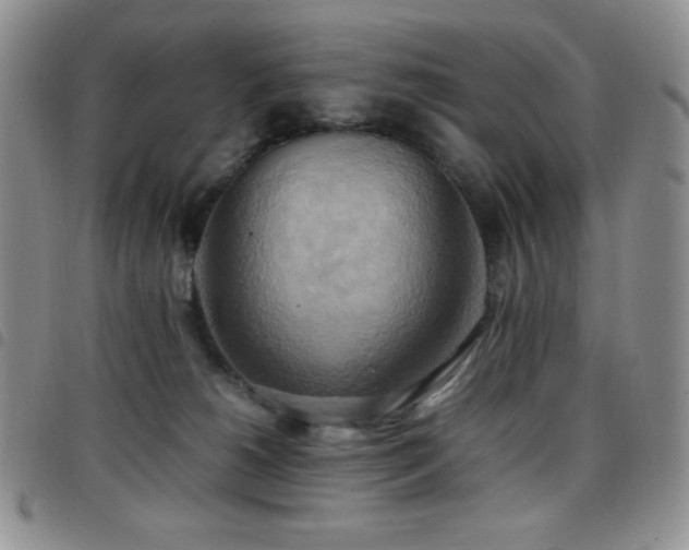 X0000099230180200804241500