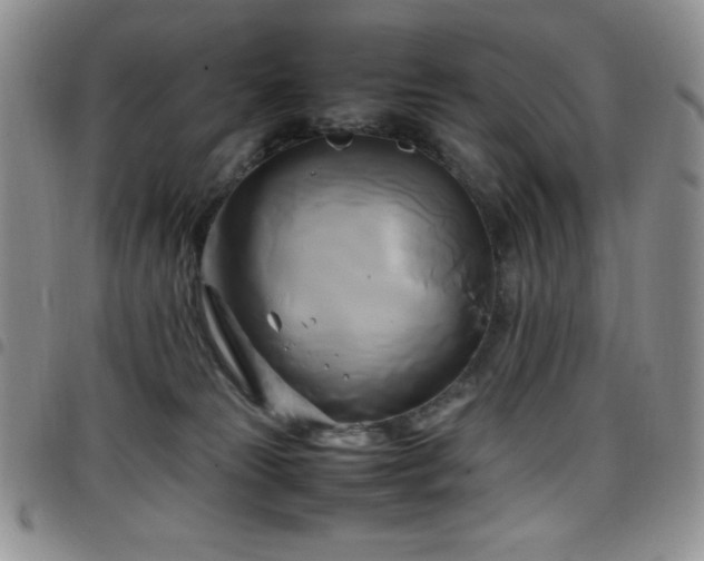 X0000099230181200804241500