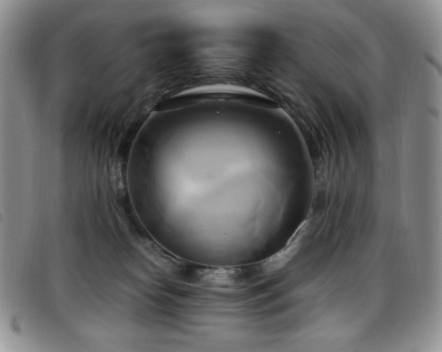 X0000099230182200804241500