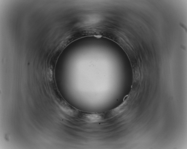 X0000099230183200804241500