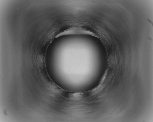 X0000099230184200804241500