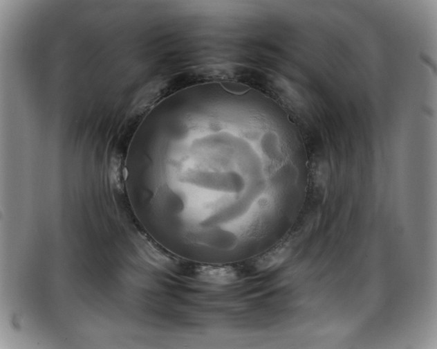 X0000099230185200804241500