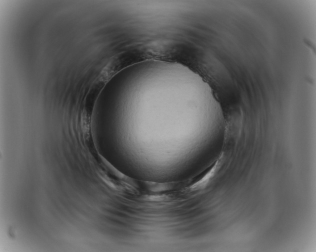 X0000099230186200804241500