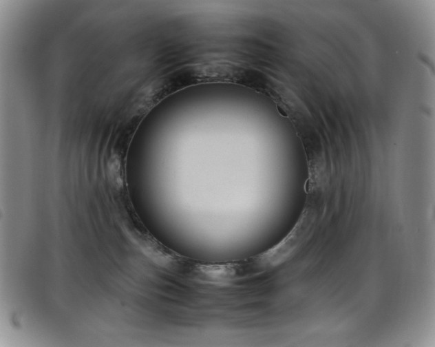 X0000099230187200804241500