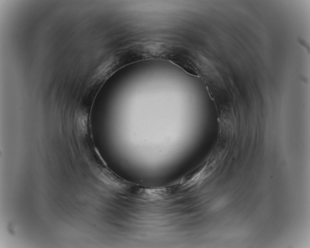 X0000099230188200804241500