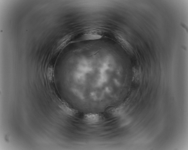 X0000099230189200804241500