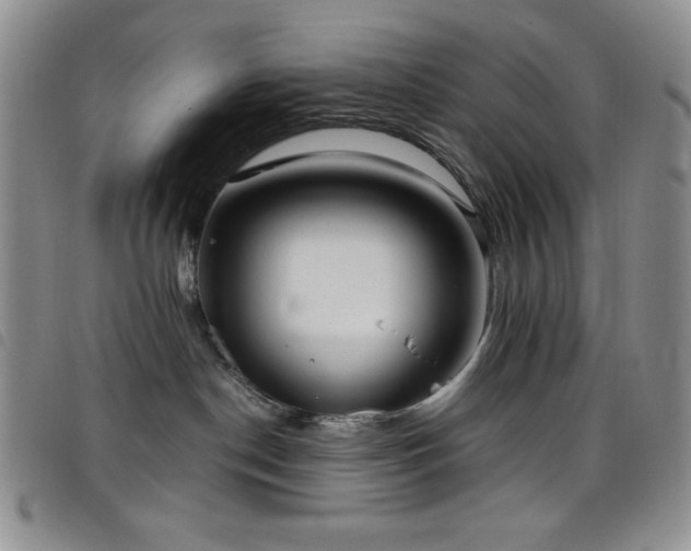 X0000099230190200804241500