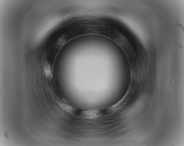 X0000099230191200804241500