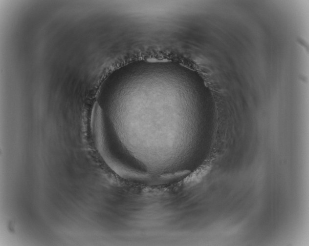 X0000099230192200804241500