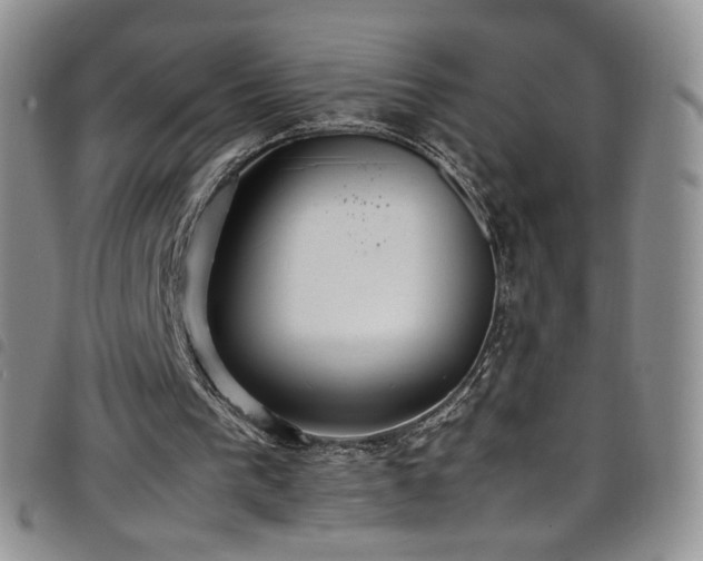 X0000099230193200804241459