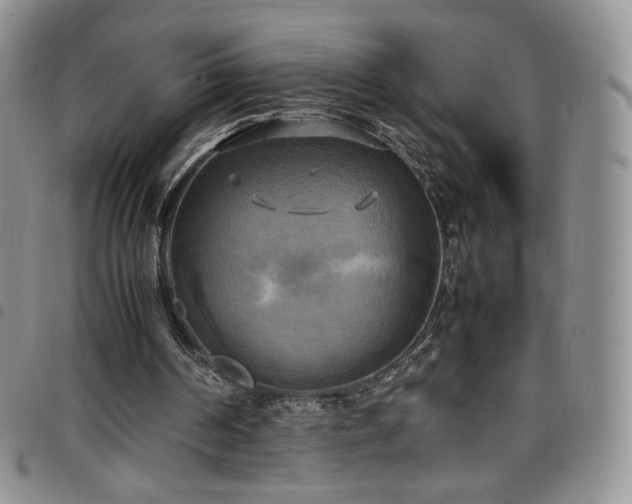 X0000099230194200804241459