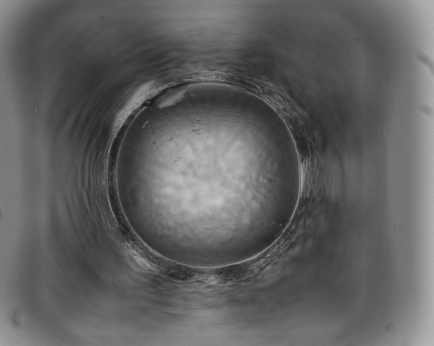 X0000099230195200804241459