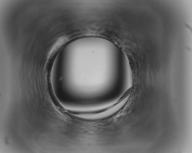 X0000099230197200804241459