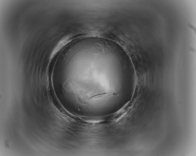 X0000099230198200804241459