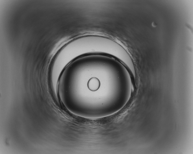 X0000099230199200804241459