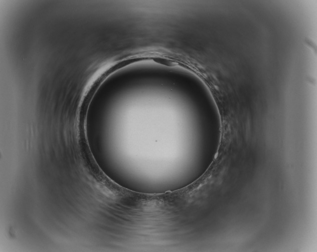 X0000099230200200804241459