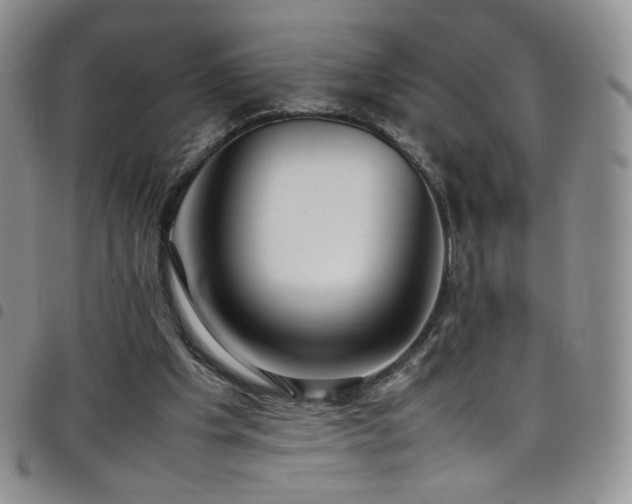 X0000099230201200804241459