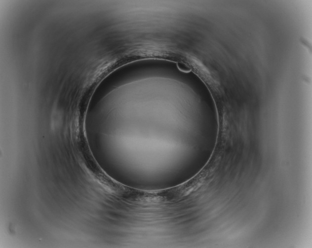 X0000099230202200804241459