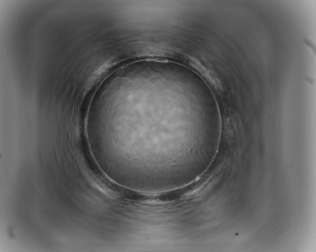 X0000099230203200804241459