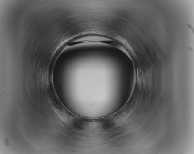 X0000099230204200804241459