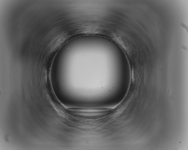 X0000099230205200804241459