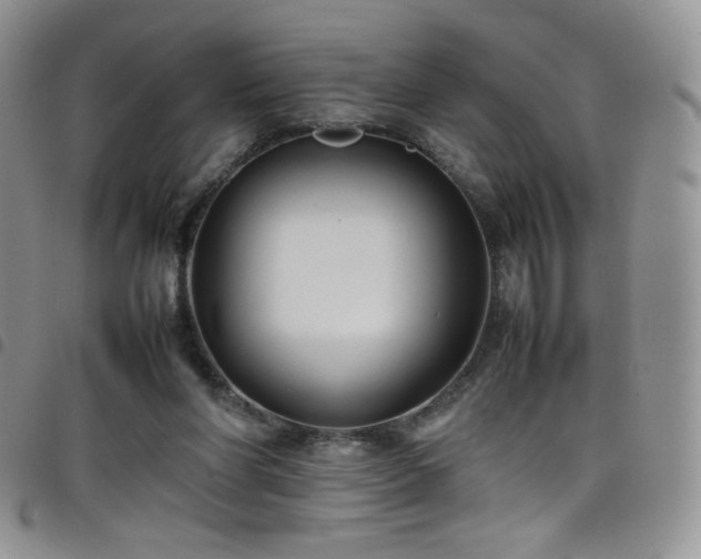 X0000099230206200804241459