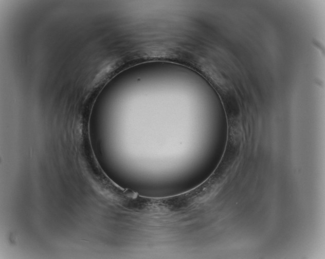 X0000099230207200804241459