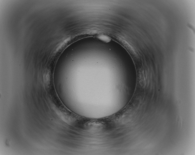 X0000099230208200804241459