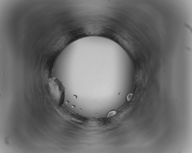 X0000099230209200804241459