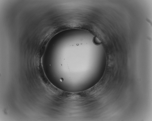 X0000099230210200804241459