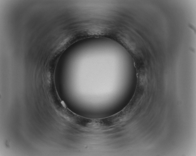 X0000099230211200804241459