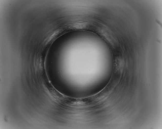 X0000099230212200804241459