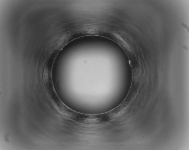 X0000099230213200804241459