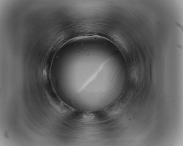 X0000099230214200804241459