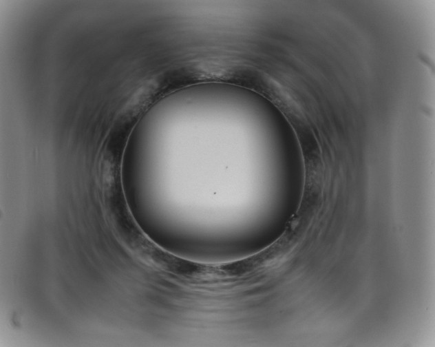 X0000099230215200804241459