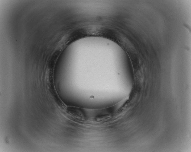 X0000099230217200804241459