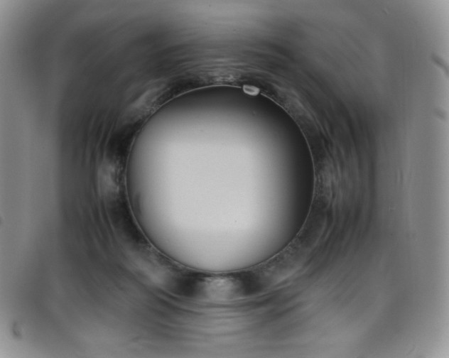 X0000099230218200804241459