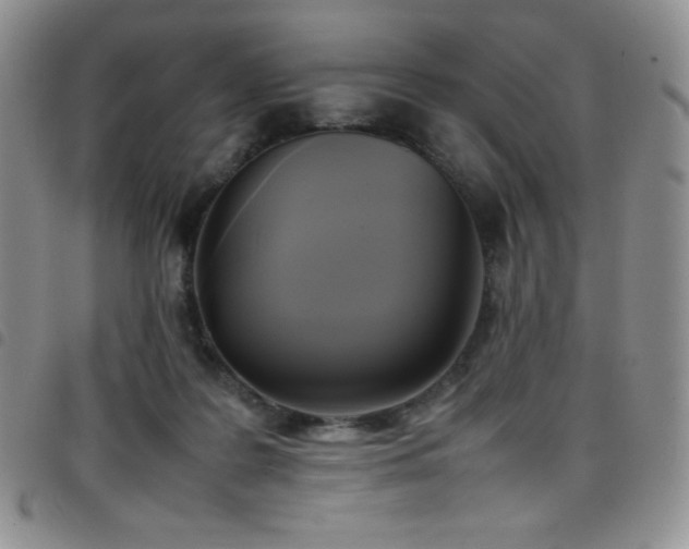 X0000099230219200804241459