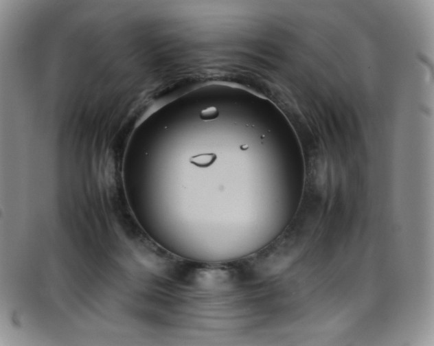 X0000099230220200804241459