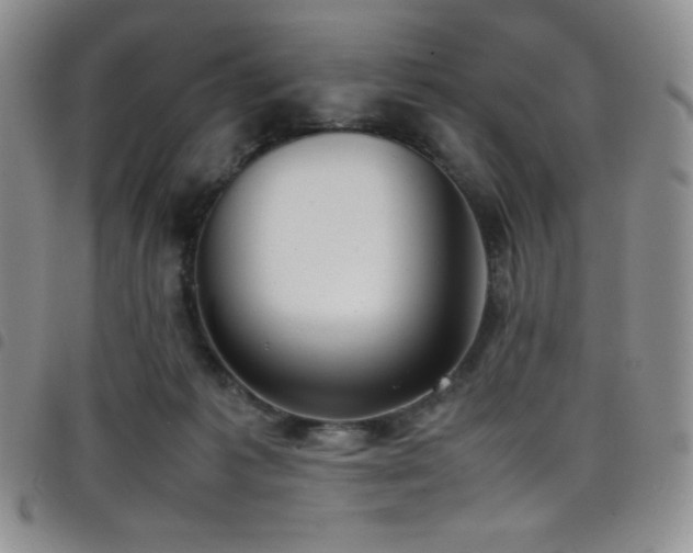 X0000099230221200804241459