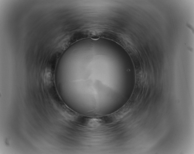 X0000099230222200804241459