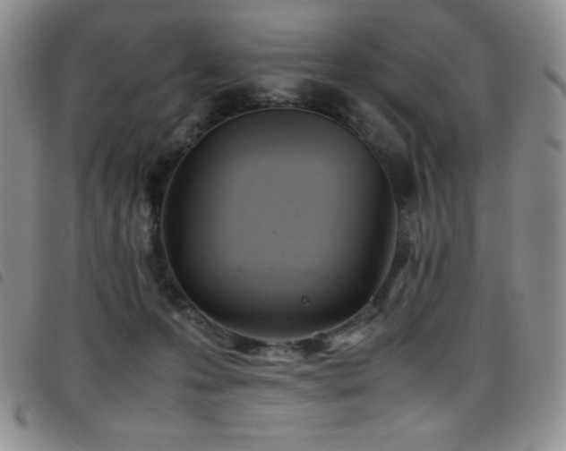 X0000099230223200804241459