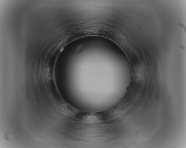 X0000099230224200804241459