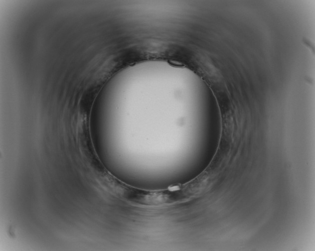 X0000099230225200804241459