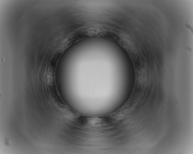 X0000099230226200804241459