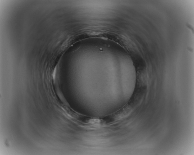 X0000099230227200804241459