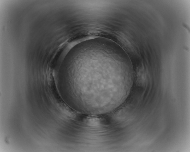 X0000099230228200804241459