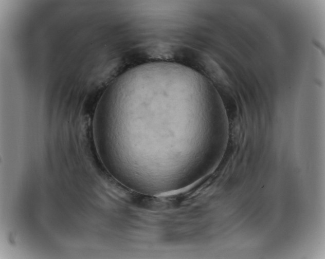 X0000099230229200804241459