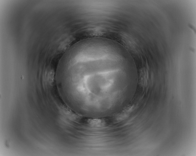 X0000099230230200804241459