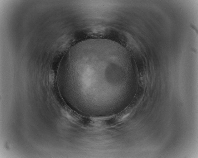 X0000099230231200804241459